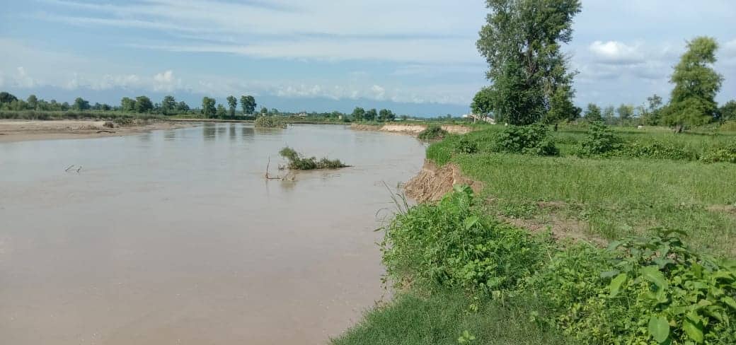 कैलालीमा अतिक्रमणले वन मासिँदै, जैविक मार्गको कनेक्टीभिटी जोखिममा